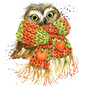 عکس با کیفیت جغد زمستانی